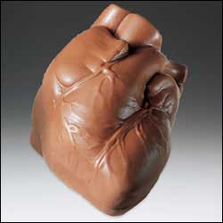 10 oz Anatomically Correct Chocolate Human Heart